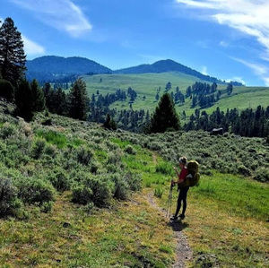 Meet your Posher, Shannon